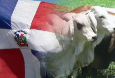 65 productores bovinos de ese país, estuvieron de gira por el Meta. Foto: CONtexto Ganadero. Ganaderos de República Dominicana