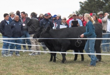En 2013 la Gira Técnica de Fedegán se llevó a cabo en Nueva Zelanda y Australia. Foto: CONtexto Ganadero. ganadería Nueva Zelanda