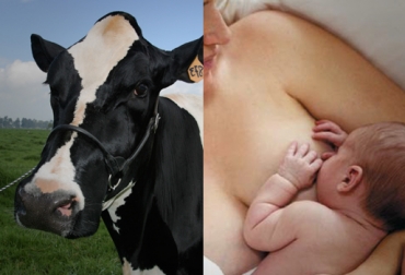 La ciencia avanza a favor de la creación de alimentos tolerantes para ciertos grupos de consumidores. Foto: CONtexto Ganadero. leche sin betalactoglobulina
