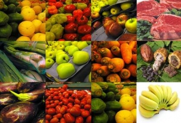 Rusia está interesada en asegurar materias primas alimenticias para su mercado y su agroindustria. Foto: MinAgricultura Rusia y la agricultura colombiana