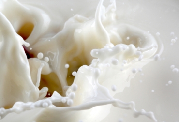 Los precios de los quesos tienden a empeorar en Colombia. Foto: CONtexto Ganadero. noticia sobre producción y precios de leche