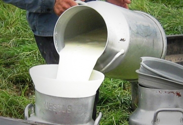 El consumo de leche cruda puede perjudicar a personas de cualquier edad. Foto: CONtexto Ganadero. leche cruda Venezuela