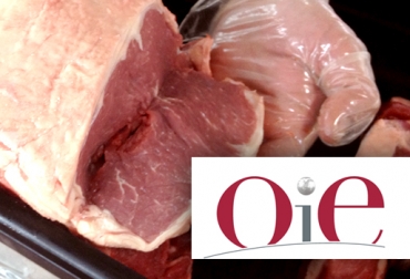 En 2012, Brasil obtuvo ingresos récord de 5.770 millones de dólares por exportaciones de carne bovina. Foto: CONtexto ganadero OIE, estatus sanitario de Brasil