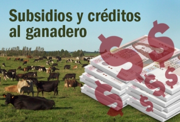 Cinco proyectos ha planteado el Gobierno de Juan Manuel Santos para el agro colombiano. Ganaderos se muestran incrédulos a su cumplimiento. Foto: CONtexto Ganadero. subsidios y créditos