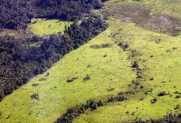 Una región deforestada de la Amazonía en Brasil © AFP Antonio Scorza Una región deforestada de la Amazonía en Brasil © AFP Antonio Scorza