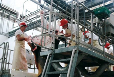 Aumenta sacrificio de bovinos en Colombia y Argentina. Foto: CONtexto Ganadero. sacrificio animal colombia