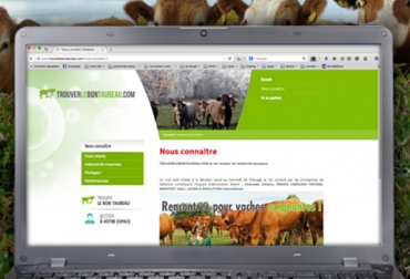 La página web fue creada en Francia para optimizar la genética bovina del país. Foto: CONtexto Ganadero. trouverlebontaureau pagina web para encuentros sexuales de vacas