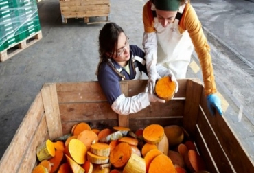 La plataforma española pemitirá definir la cantidad de subproductos existentes para la elaboración de biocombustibles y harina para animales. Foto: iresiduo.com. aprovechamiento de subproductos cárnicos ylácteos