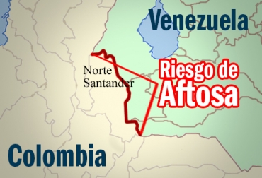Colombia es país libre de aftosa con vacunación. Foto: CONtexto Ganadero. aftosa en fronteras