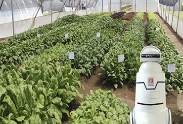 El robot cuenta con gran adaptabilidad para hacer mapeo de imágenes 3D, aspersión de fertilizantes, poda y otras labores que se integran con equipos electrónicos. Foto: Cortesía - INTA Robot con inteligencia artificial para cultivos intensivos