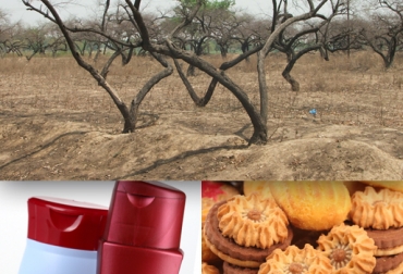 Los fenómenos naturales pueden causar un alza del precio del champú o de las galletas en los supermercados de todo el mundo. Foto: CONtexto ganadero. a sequía y el fenómeno climático de El Niño amenazan galletas