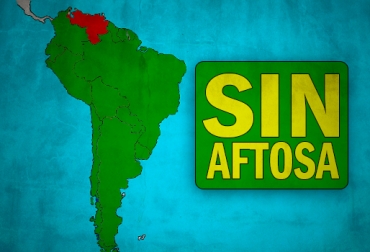 Venezuela no reporta ausencia o presencia de casos de fiebre aftosa. Foto: CONtexto Ganadero. aftosa en Suramérica