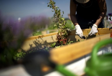 Una mujer trabaja en su huerta en el lugar del antiguo aeropuerto de Tempelhof, el 18 de agosto de 2011 en Berlín © AFP/Archivos Odd Andersen Huertas caseras