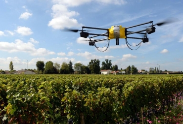 Un 'drone' sobrevuela los viñedos del 'chateau' Pape Clement, del vinicultor bordelés Bernard Magrez, en Pessac (suroeste de Francia), el 9 de septiembre de 2014. Foto: AFP / Jean Pierre Muller. drones vinos