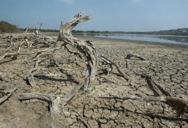 La sequía afecta al lago El Cisne, en Puerto Colombia, el 31 de julio de 2014. Foto: AFP / Eitan Abramovich. Cambio climático