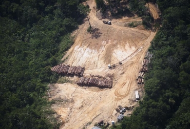 Vista de una explotación ilegal de madera el 14 de octubre de 2014 en el estado de Pará, Brasil. Foto: AFP. deforestación en amazonía