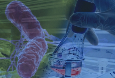 Los cientificos buscan identificar la presencia de microbiomas, virus, bacterias y hongos en intestinos de los animales. Foto: CONtexto Ganadero Virus Salmonella en aves