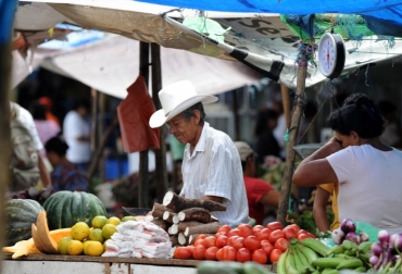La agricultura es una vía para disminuir la subnutrición. Foto: Orlando Sierra / AFP Venta de alimentos.