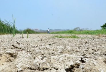 A pesar de ser una de las principales preocupaciones, el tema del verano y eventuales soluciones no son tema de campaña en la región Caribe. Foto: www.palmardevarela-atlantico.gov.co. El Niño, sequía, región caribe