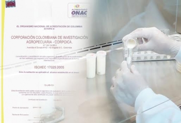 La acreditación a laboratorios de leche solo sería entregada a 3 entidades en todo el país. Foto: CONtexto ganadero. acreditación a laboratorios de leche