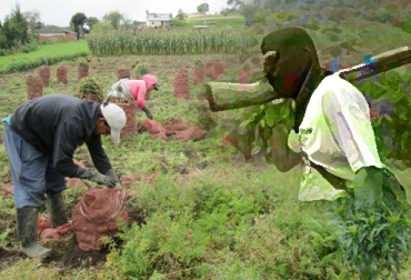 Si usted es víctima de extorsión y/o abigeo puede denunciar con total tranquilidad a: antiabigeo@fedegan.org.co y antiextorsion@fedegan.org.co. Foto: CONtexto ganadero. seguridad rural septiembre