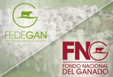 El MinAgricultura decidió cambiar a Fedegán como administrador del FNG el pasado 29 de diciembre. Foto: CONtexto ganadero. fondo nacional del ganado fedegan