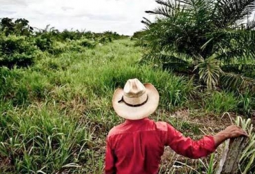 A pesar del optimismo del Gobierno frente a las Zidres, para los miembros de Dignillanos hay muchos vacíos dejan desprotegidos a los campesinos. Foto: ecoportal.net. Zonas de Interés de Desarrollo Rural, Económico y Social