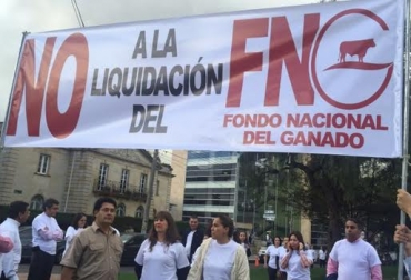 La decisión no fue bien recibida por los voceros del sector ganadero. Foto: JSGonza_92 Liquidación FNG