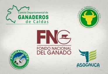 Las entidades regionales lamentaron la decisión adoptada con el FNG. Foto: CONtexto ganadero. Comités Ganaderos, FNG