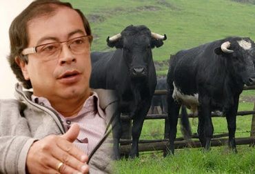 Petro atacó a los criadores de ganado de lidia en medio de su discusión con un funcionario de la actual administración. Foto: patiobonitoaldia.wordpress.com - fedegan.org.co. Gustavo Petro, acusaciones de petro a los criadores de lidia, criadores del toro de lidia, todo de lidia, todo de lidia en colombia, tauromaquia, historia taurina en colombia, temporada taurina en Bogotá, toros colombia, miguel sanz de santamaría, Miguel Uribe Turbay, CONtexto ganadero, ganadería colombia