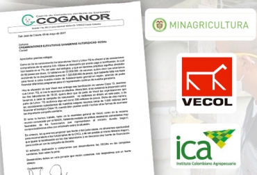 El Comité de Norte de Santander hizo la denuncia cuando inicia el primer ciclo de vacunación del año. Foto: Coganor - www.ica.gov.co - www.vecol.com.co - www.minagricultura.gov.co Coganor Vecol 2017, Coganor ciclo vacunación 2017-I, Coganor ciclo vacunación Vecol 2017, Preocupaciones ganaderos primer ciclo de vacunación 2017, primer ciclo de vacunación 2017, inicio ciclo vacunación 2017-I, preocupación por ciclo vacunación, Minagricultura, Fiduagraria, Cuenta Nacional Carne y Leche, ICA Ciclo 2017-I, MinAgricultura desconoce los procesos del ciclo, I ciclo de vacunación 2017, CONtexto ganadero, ganaderos Colombia