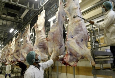 El Consejo de Secretarios de Agricultura departamentales pidió hacer un alto en el camino para evaluar una mejor implementación del decreto 1500. Foto: Vanguardia Liberal plan de desarrollo, CONSA, Andrés Valencia Pinzón, ivan duque, Fondos Nacionales, Planes Departamentales de Extensión Agropecuaria, decreto 1500, implementación decreto 1500, Ganadería, ganadería colombia, noticias ganaderas, noticias ganaderas colombia, CONtexto ganadero