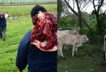 Manifiesta dicho Comité en comunicación firmada por cerca de un centenar de productores del campo, que algunas instancias no le han dado el reconocimiento a dicha iniciativa y, por el contrario, pretenden desconocerla presuntamente buscando minimizar la gravedad de los, cada vez más frecuentes, hechos delictivos y de violencia. Foto: lavozdelaregion.co Colombia, Ganadería, ganaderos, Cesar, la carta de ganaderos que nunca tuvo respuesta, Comité de Seguimiento agropecuario, Abigeato, inseguridad física, Contrabando, transporte y comercialización de la carne y de productos lácteos de sudosa precedencia, nueva forma de relacionamiento entre gobierno y productores, comunicación y denuncia de hechos delictivo, Judicatura, Procurador Agrario, Las propuestas del Comité, Ganadería colombiana, noticias ganaderas, noticias ganaderas colombia, CONtexto ganadero