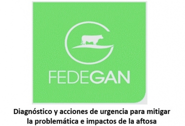 La fiebre aftosa no es una enfermedad zoonótica y el consumo de carne no genera riesgo para la salud humana, Fedegán solicita al gobierno realizar campañas en medios masivos, aclarando esta situación y promoviendo el consumo. Ilustración: Fedegán. Colombia, Fiebre aftosa, Fedegán, José Félix Lafaurie, medidas para mitigar el impacto de la fiebre aftosa. Ganadería, ganadería colombiana, noticias ganaderas, noticias ganaderas Colombia, CONtexto ganadero