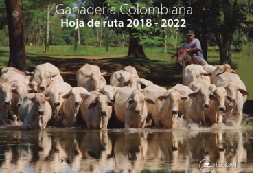 La consigna aquí es no detenernos, Vamos hacia una ganadería sostenible económicamente, ambientalmente y socialmente, señala el documento. Foto: Fedegán Colombia, ganadería, Ganadería Colombiana, Hoja de Ruta 2018 – 2022, planes estratégicos, modernización, Ciencia - Tecnología e Innovación, Centros de Servicios Tecnológicos, Brigadas Técnicas, Círculos de Excelencia Ganadera, Escuelas de Mayordomía, Núcleos de Asistencia Técnica a pequeños ganaderos, Asistegán, Plan de Desarrollo 2014 – 2019, “Ganadería Colombiana Sostenible”, fiebre aftosa, Programa de Nacional de Erradicación de la Fiebre Aftosa, país libre con vacunación, recuperación del estatus sanita