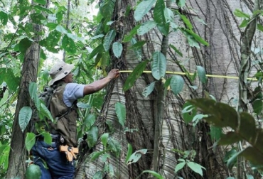 En las regiones boreales y tropicales, el cambio climático está haciendo que los bosques sean más susceptibles a factores adversos, señala la Fao en su publicación "agricultura climáticamente inteligente". Foto: eird.org FAO, actividad forestal, climáticamente inteligente Ganadería, La producción ganadera climáticamente inteligente, contribución de la ganadería a la oferta mundial de calorías y proteínas, oferta mundial de calorías y proteínas, La contribución que hace el ganado, cambio climático ganadería, Ganadería colombiana, noticias ganaderas, noticias ganaderas colombia, CONtexto ganadero