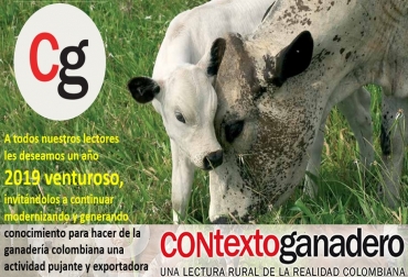 Feliz año 2019 amigos ganaderos. Imagen: CONtexto ganadero Feliz año 2019 amigos ganaderos, ganadería colombiana, contexto ganadero, vacas, noticias ganaderas,