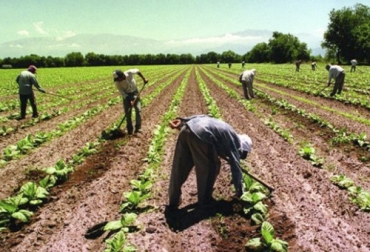 Debido a la alta informalidad laboral en el sector rural, el Gobierno ha presentado propuestas para brindar protección social a estos trabajadores. Foto: agritotal.com Informalidad laboral campo, informalidad laboral campo Colombia, informalidad laboral colombia, sistema de contratación en el campo, trabajadores del campo, trabajadores agropecuarios, contratación en el campo, BEPS, Protección Social, piso mínimo protección social, protección social trabajadores campo, Ministerio de Trabajo, CONtexto ganadero, ganaderos colombia, noticias ganaderas colombia