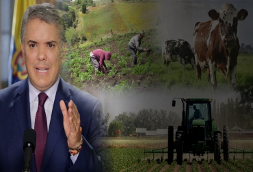 Políticas del Gobierno para el sector agro marchan a buen ritmo. Foto: d.presidencia.gov.co - amchamcolombia.co - Fedegán - El Nuevo Siglo gobierno Duque, sector agro de Colombia, políticas para sector el agro de Colombia, Ministerio de Agricultura, Andrés Valencia, Plan Nacional de Desarrollo