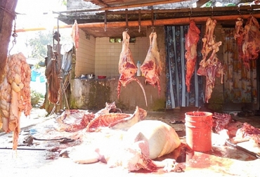 La decisión permitirá mayor vigilancia y acciones contundentes contra los lugares de beneficio clandestino. Foto: armoniasdelcaqueta.com. ganadería, ganadería colombia, noticias ganaderas, noticias ganaderas colombia, contexto ganadero, Álvaro Urrea, presidente de la Asociación Frigoríficos de Colombia, decreto 1500, Invima, Policía Nacional, mataderos clandestinos, sacrificio clandestino de ganado,