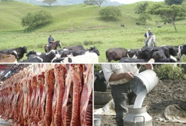 “Nuestra contribución, la de cientos de miles de ganaderos es que no falte en los hogares colombianos la carne y la leche a lo largo de estos días, semanas y meses que son tan duros para toda la sociedad”, señala el presidente de Fedegán. Foto: agriculturayganaderia.com - agritotal.com Colombia, ganadería bovina, leche, carne, abastecimiento, Ganaderos garantizan el abastecimiento de carne y leche, José Félix Lafaurie Rivera, fedegan, producción de carne bovina consumo percata de carne y leche, producción de leche, FNG, fomento al consumo, programa Fomento al Consumo, Fedegán-FNG, CONtexto ganadero, noticias ganaderas
