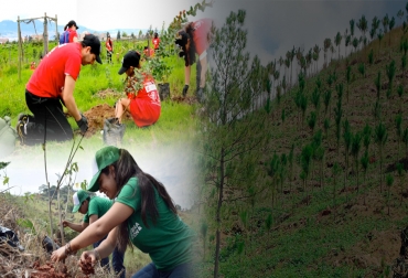 Por lo que se creó una política donde se quiere llegarle a los productores para que valoren los bosques y la biodiversidad, el agua, de tal manera que se pueda eliminar el riesgo de la biodiversidad nacional. Foto: car.gov.co - diariodelcesar.com - smpcucuta.com Ganadería, ganadería colombia, Ganadería colombiana, CONtexto ganadero, noticias ganaderas, noticias ganaderas colombia, refoestación, deforestación, siembra de árboles, arboles sembrados, sembratón, ganaderos, ganaderos colombia
