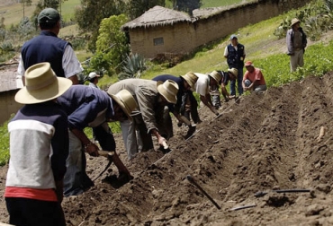 De acuerdo al ministro Zea, el transporte rural y el de carga estará a disposición para que los productores puedan sacar sus productos desde las fincas hasta los centros de consumo. Foto: seryhumano.com Ganadería, ganadería colombia, Ganadería colombiana, CONtexto ganadero, noticias ganaderas, noticias ganaderas colombia, coronavirus, aislamiento preventivo, COVID-19, agro covid 19, agro coronavirus, sector agrícola, sector ganadero, sector agropecuario, abastecimiento de comida, crisis sanitaria, ganaderos, ganaderos colombia