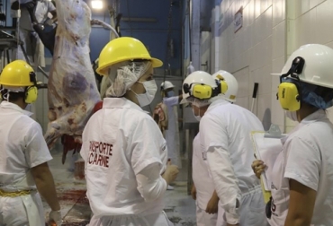 De acuerdo con el director del Invima, Julio César Aldana, los recortes al presupuesto del Invima afectarían la inspección, vigilancia y control de las plantas de beneficio animal. Foto: saravena-arauca.gov.co Presupuesto Invima 2021, presupuesto Colombia 2021, presupuesto Ministerio Agricultura Colombia 2021, Invima 2020, Invima 2021, Invima coronavirus, Invima Inspección Vigilancia Control, Invima frigoríficos, Invima mataderos, coronavirus, coronavirus Colombia, COVID-19, cuarentena, Ganadería, ganadería colombia, noticias ganaderas, noticias ganaderas colombia, CONtexto ganadero