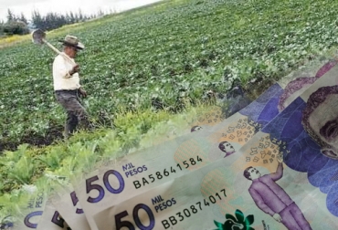Los recursos vienen en caída libre desde el año 2015. Foto: pixabay.com - elquindiano.com presupuesto, sector agropecuario, Minagricultura, ICA, Agencia Nacional de Tierras, agencia de desarrollo rural, funcionamiento, Inversión, Infraestructura, comercialización, Ganadería, ganadería colombia, noticias ganaderas colombia, CONtexto ganadero