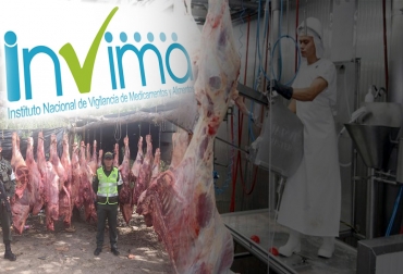 El instituto trabaja de la mano con otras entidades y con la Policía Nacional para garantizar la inocuidad de la carne y frenar prácticas como el abigeato y el sacrificio clandestino. Foto: diarioriente.com - invima.gov.co - florencianos.com Invima decreto 1500 de 2007, Invima sacrificio clandestino, Invima plantas de beneficio, Invima carne, Invima carne Colombia, Presupuesto Invima 2021, presupuesto Colombia 2021, Invima 2020, Invima 2021, Invima coronavirus, Invima Inspección Vigilancia Control, Invima frigoríficos, Invima mataderos, coronavirus, coronavirus Colombia, COVID-19, cuarentena, Ganadería, ganadería colombia, noticias ganaderas, noticias ganaderas colombia, CONtexto ganadero
