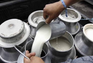 El gremio pide un trabajo mancomunado para darle solución a la crisis del sector lácteo. Foto: Ministerio de Agricultura. Ganadería, ganadería colombia, noticias ganaderas, noticias ganaderas colombia, CONtexto ganadero, pacto por el sector lácteo, acelerar pacto por el sector lácteo, fedegan, José Felix Lafaurie, propuestas consejo lácteo lafaurie, propuestas para el sector lechero