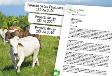 Lea en el enlace, la carta enviada por el presidente de Fedegán al presidente Duque, en donde se explican en mayor detalle los impactos de los tres proyectos de ley enunciados. Foto: todosobreganado.com - Fedegán Ganadería, ganadería bovina, proyectos legislativos afectan la ganadería bovina, Proyecto de Ley Estatutaria No. 132/20 – Cámara, Proyecto de Ley No. 011/20 – Cámara, Código Nacional de Protección y Bienestar Animal, Proyecto de Ley no. 283/19 – Cámara, delitos contra los recursos naturales y el medio ambiente, especialidad judicial rural y agraria, vacas, vacas Colombia, lechería, bovinos, ganadería bovina, ganadería bovina Colombia, noticias ganaderas, noticias ganaderas Colombia, contextoganadero