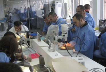 Los laboratorios de diagnóstico que prestan sus servicios a terceros cuenta con una nueva normatividad del ICA para su funcionamiento. Foto: ica.gov.co ICA, laboratorios, diagnóstico, análisis, pruebas, sector agropecuario, empresas, producción agropecuaria, insumos veterinarios, control de calidad, biológicos veterinarios, alimentos para animales, medicamentos veterinarios, material seminal, Servicios, terceros, materias primas, material genético, organismos genéticamente modificados, Ganadería, ganadería colombia, noticias ganaderas colombia, CONtexto ganadero