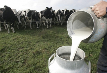 Diversificar mercados, campañas de consumo, control de importaciones, son algunas de las propuestas que se expusieron en la audiencia para mirar alternativas de salida a la crisis del sector lechero. Foto: elmercurio.com sector lácteo, leche, precio, senado, propuestas, diversificación, mercados, exportación, modelos asociativos, crédito subsidiado, Invima, adulteración, lactosueros, triangulación, Dumping, salvaguardia, transición energética, costos, Tanques de enfriamiento, ordeño, PAE, campañas publicitarias, consumo, Ganadería, ganadería colombia, noticias ganaderas colombia, CONtexto ganadero